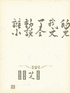 谁动了我的老婆小说全文免费阅读