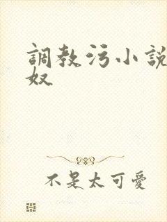 调教污小说高h奴