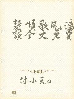 楚倾歌风漓夜小说全文免费阅读