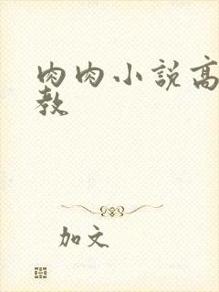 肉肉小说高h调教