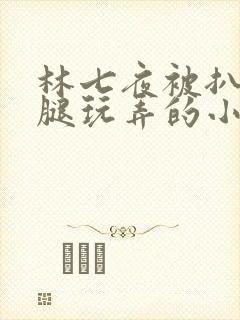 林七夜被扒开双腿玩弄的小说