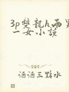 3p双龙h两男一女小说