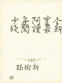 少年阿宾全文在线阅读最新章节免费