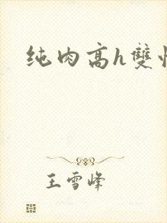 纯肉高h双性文
