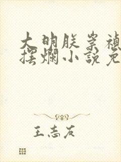 大明朕崇祯只想摆烂小说免费