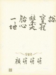 一胎双宝总裁爹地心尖宠