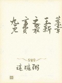 九玄之王叶浮生免费最新章节