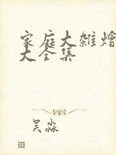 家庭大杂烩小说大全集