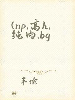 (np,高h,纯肉.bg