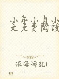 小年小月小说全文免费阅读无弹窗