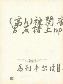 (高h)被闺蜜男友错上np全文封面