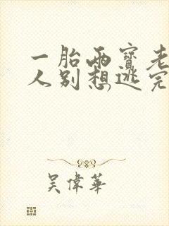 一胎两宝老婆大人别想逃完整版免费阅读封面