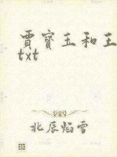 贾宝玉和王夫人txt