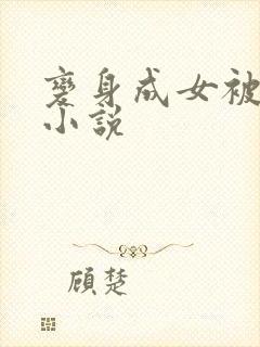 变身成女被高的小说封面