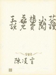 王磊杨小芬的小说免费阅读全文最新章节