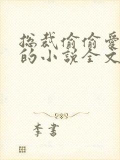 总裁偷偷爱上我的小说全文阅读