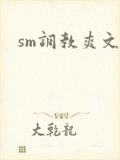sm调教爽文封面