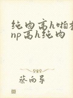 纯肉高h啪校园np高h纯肉封面