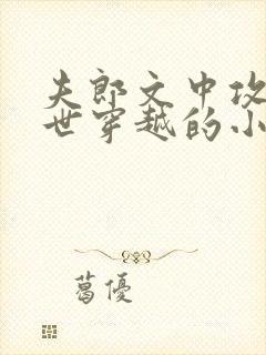 夫郎文中攻是末世穿越的小说