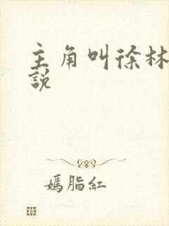 主角叫徐林的小说