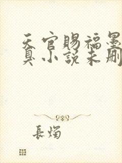 天官赐福墨香铜臭小说未删减在线看封面