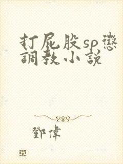 打屁股sp惩罚调教小说封面