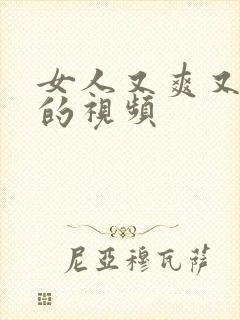 女人又爽又高潮的视频