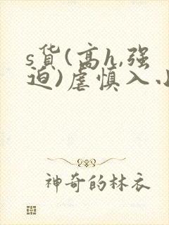 s货(高h,强迫)虐慎入小说