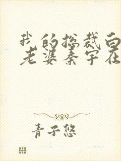 我的总裁白富美老婆秦宇在线小说免费