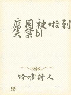 腐团被啪到高潮失禁bl封面