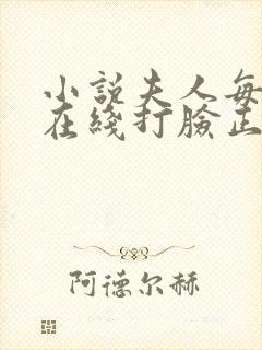 小说夫人每天都在线打脸正版免费