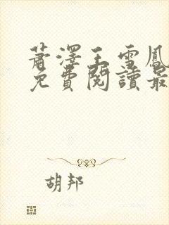 萧泽王雪凤小说免费阅读最新章节封面