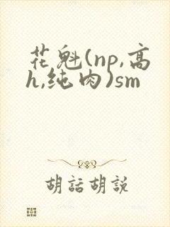 花魁(np,高h,纯肉)sm