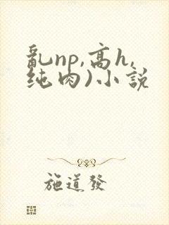 乱np,高h,纯肉)小说