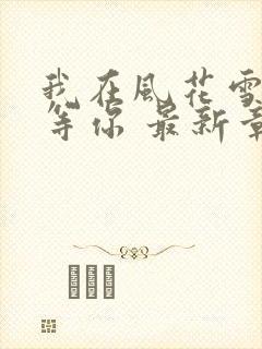 我在风花雪月里等你 最新章节封面