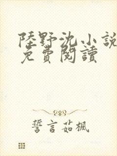 陆野沈小说全文免费阅读