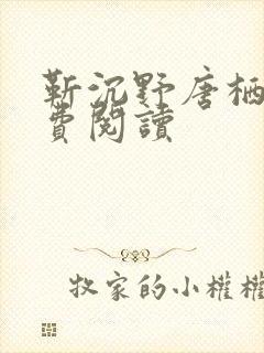 靳沉野唐栖雾免费阅读