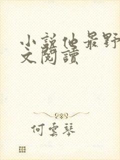 小说他最野了全文阅读