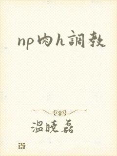 np肉h调教