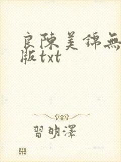 良陈美锦无删减版txt封面