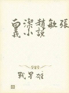 白洁赵敏张倩高义小说