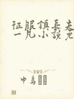 征服镇长夫人王一凡小说免费阅读