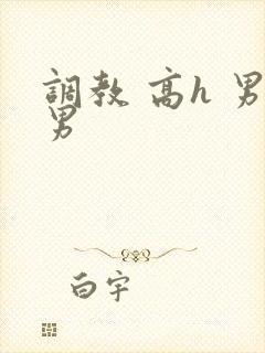 调教 高h 男男