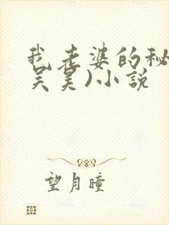 我老婆的秘密(吴昊)小说封面