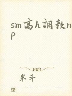 sm高h调教np