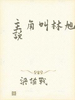 主角叫林旭的小说