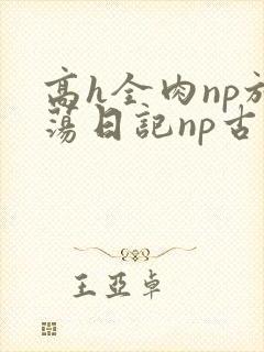 高h全肉np放荡日记np古代