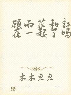 顾雨菲和许忠义在一起了吗