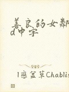 善良的女邻居hd中字