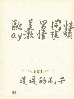 欧美男同性恋gay激情视频